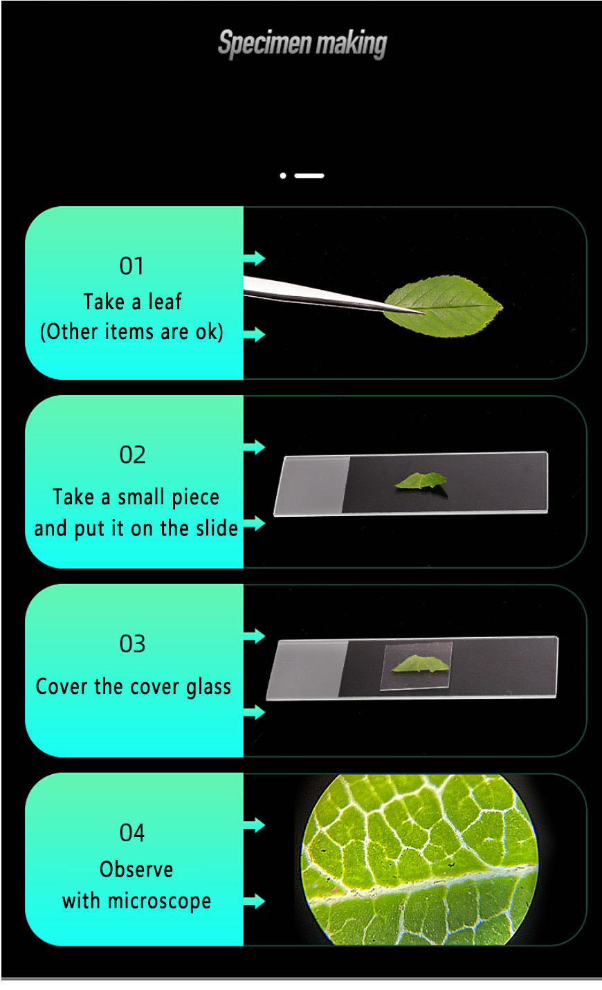 Micro Glass Slides