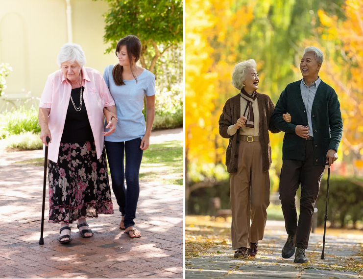 Foldable Walking Cane Lightweight Elderly Walking Stick