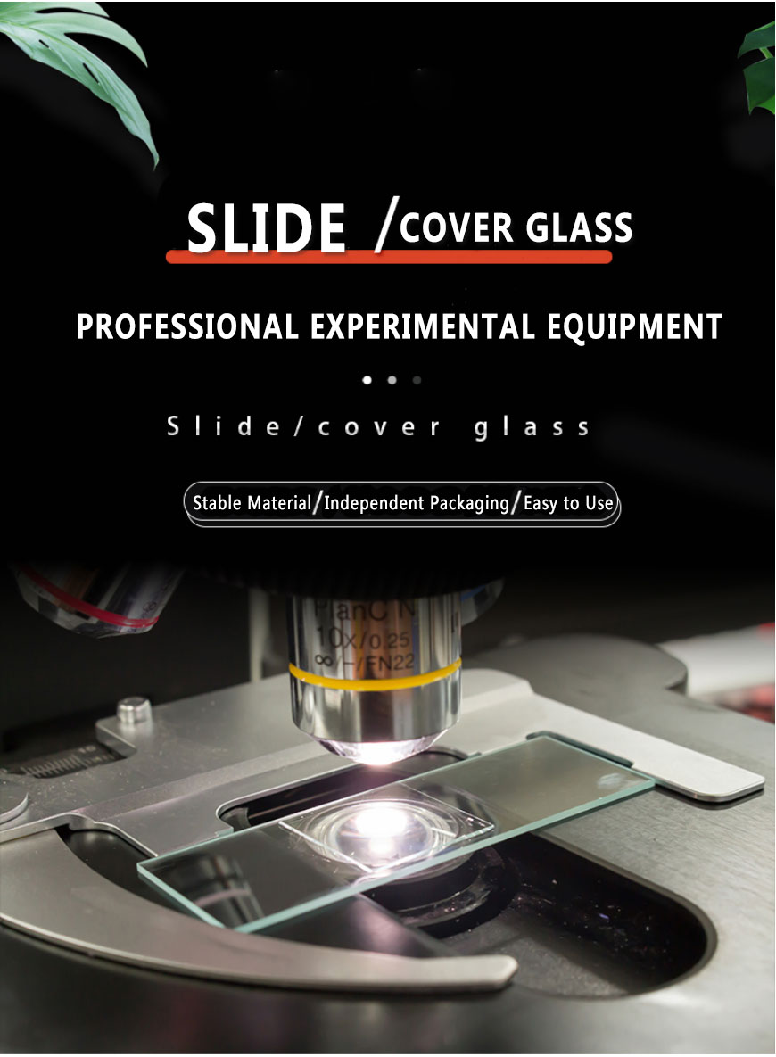 Blank Microscope Slides
