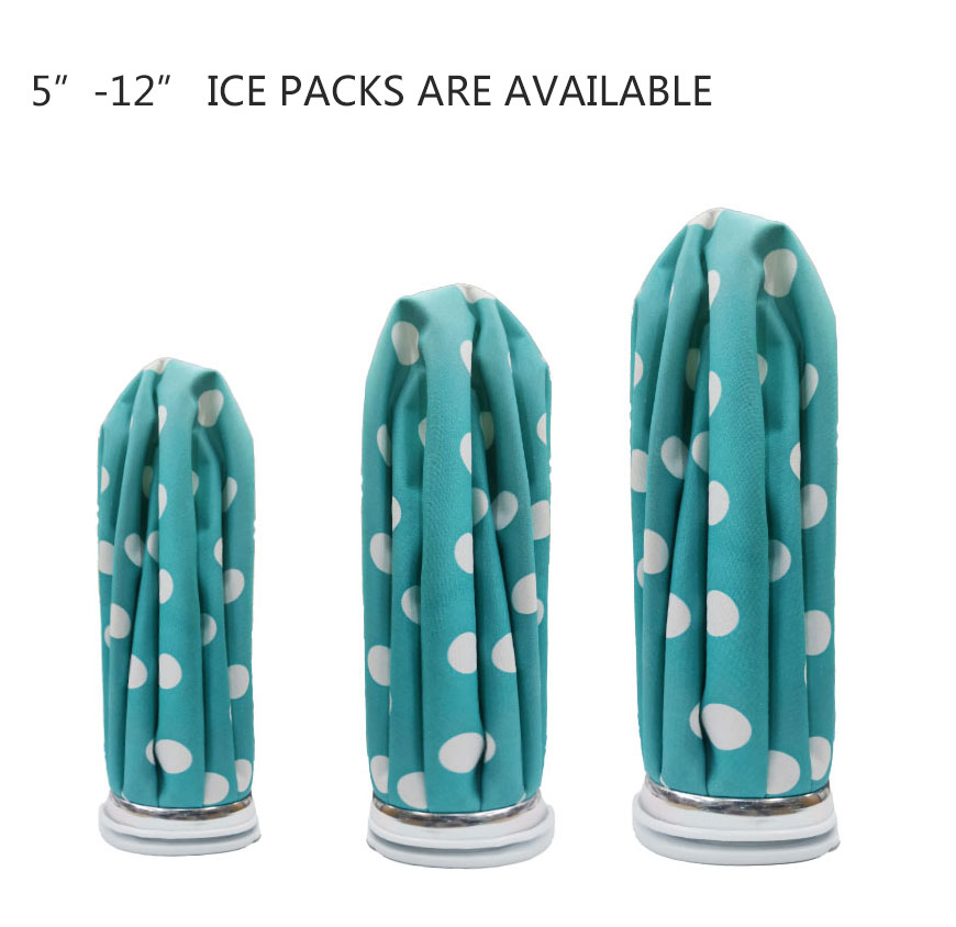 Ice Pack Bags 