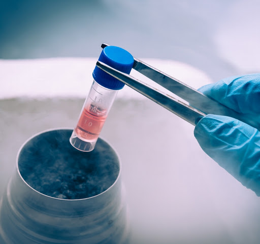 What Test Tube Should Be Used for Low Temperature Preservation of Samples